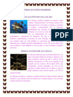 Biomas Acuático Marinos