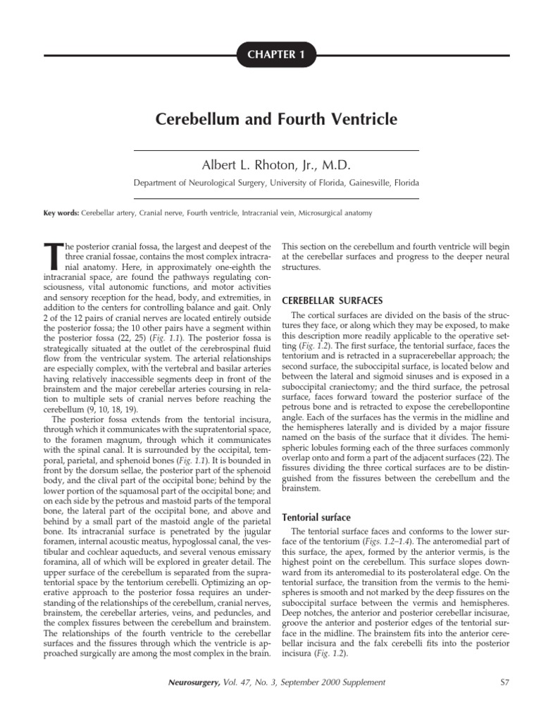 Cerebellum and Fourth Ventricle | PDF | Brainstem | Cerebellum