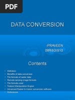 Data Conversion