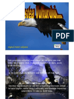 Story of Eagle