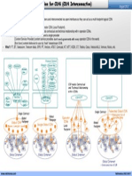 What Is Cdni ? - Why Cdni ?: CSP Needs Contractual and Technical Relationship With N Cdns