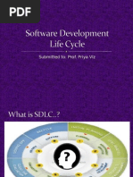Download Sdlc  by nitskr SN22461274 doc pdf