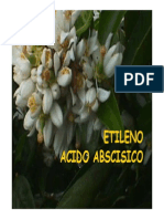 ABAETILENO 2008.pdf