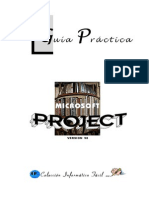 manual project 2010.pdf