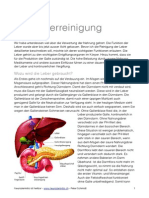 Die-Leberreinigung - Kopie PDF