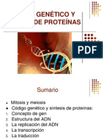 4.2 Código Genético y Síntesis de Proteínas PRISCILA