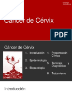 Cáncer de Cérvix