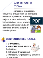 Programa de Salud Ocupacional