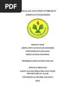 Download Makalah Kolenkim by Rizki Fauziah SN224662315 doc pdf