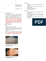 Erythema Multiform Pada Anjing