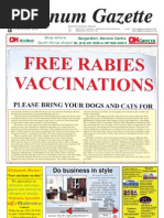 Download Platinum Gazette 13 November by Platinum Gazette SN22467567 doc pdf