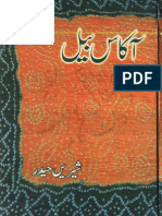 Akaas Bail by Shireen Haider PDF