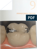 Odontología Restauradora. Baratieri. Vol 2