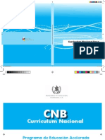 CNB de Primaria Acelerada