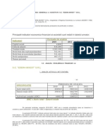 Analiza Financiara Gulfan Isa