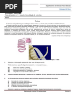 Ficha de Trabalho 3 - Consolidação de Conceitos