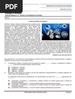 Ficha de Trabalho 6 - Consolidação de Conceitos