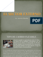 Sector Externo