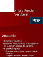 Anatomia y Función Vestibular