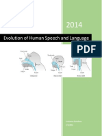 Evolution of Human Speech and Language