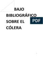 TRABAJO BIBLIOGRÁFICO- EL CÓLERA (GONZALO NIETO 1ºH).docx
