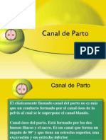 Canal Del Parto