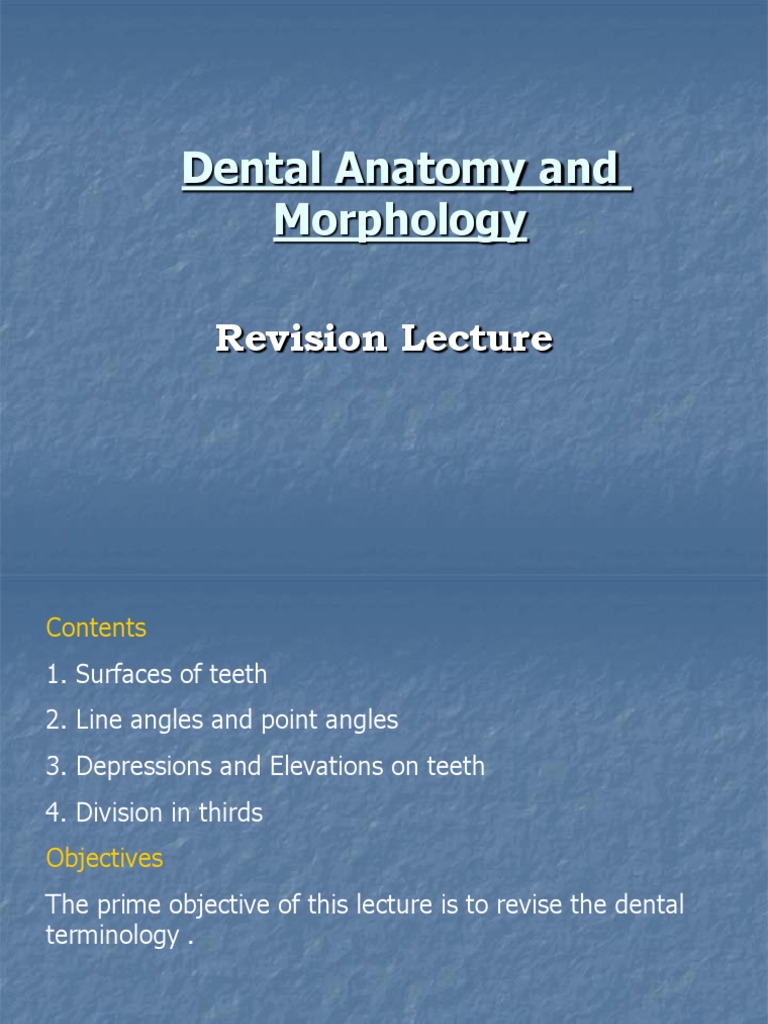 Dental Anatomy Revision Lecture | PDF | Dental Anatomy | Facial Features