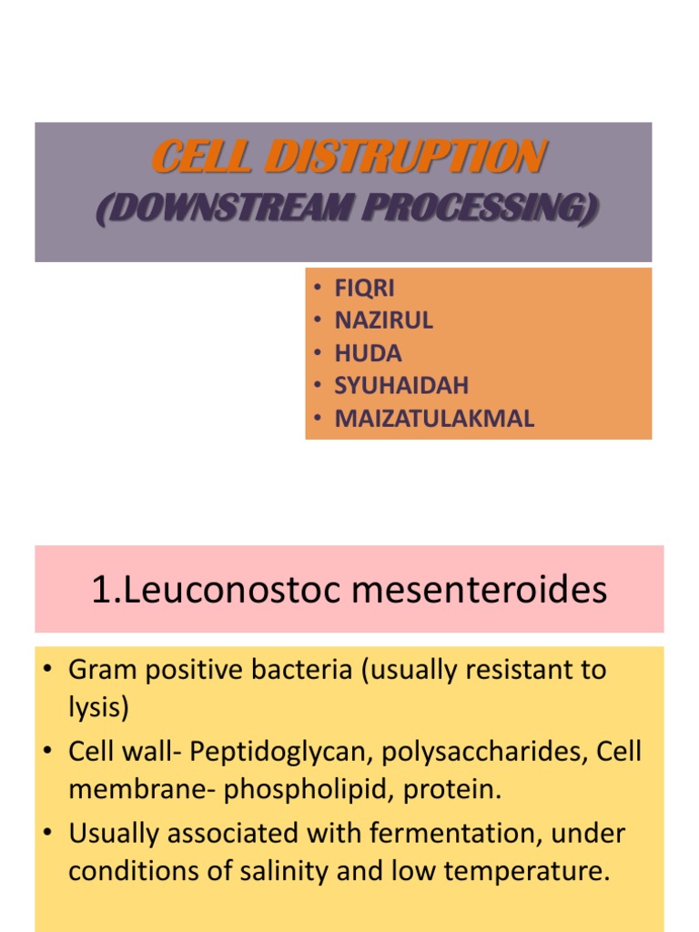 Cell Distruption: (Downstream Processing) | PDF