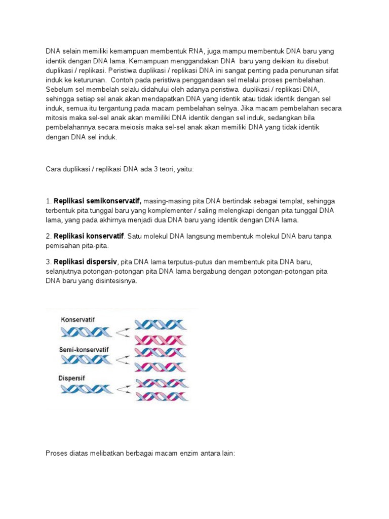 DNA Data 1 | PDF | Kajian Bahasa Asing