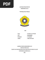 Download 208931619 Praktikum Mikrobiologi Morfologi Jamur Benang by Chichi Fauziyah SN224765716 doc pdf