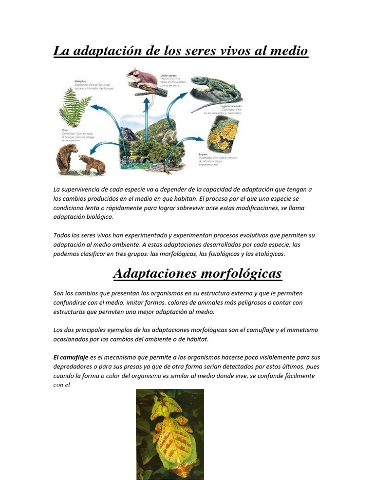 La Adaptación de Los Seres Vivos Al Medio | PDF