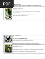 Download Jenis Burung by Donally Leo SN224772254 doc pdf
