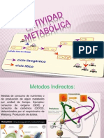 Actividad Metabólica