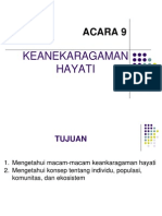 Acara 9