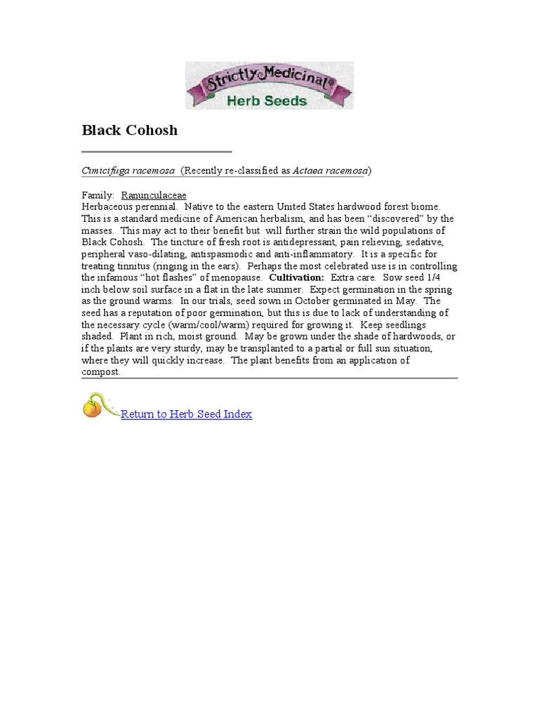 Black Cohosh: Cimicifuga Racemosa (Recently Re-Classified As Actaea ...