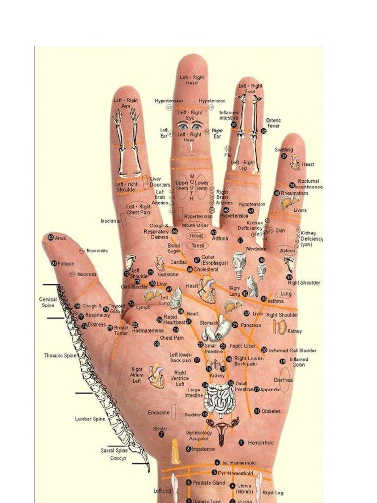 Hand Reflexology | PDF