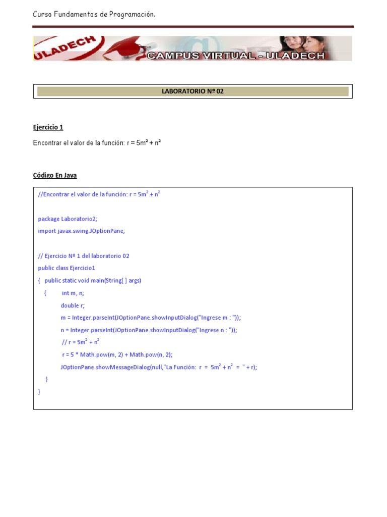 Ejercicios Netbeans | PDF | Java (lenguaje de programación ...