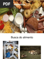 Tipos de Alimentos2