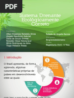 Sistema Drenante Imprimir