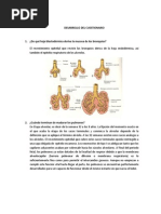 Desarrollo Del Cuestionario Otto
