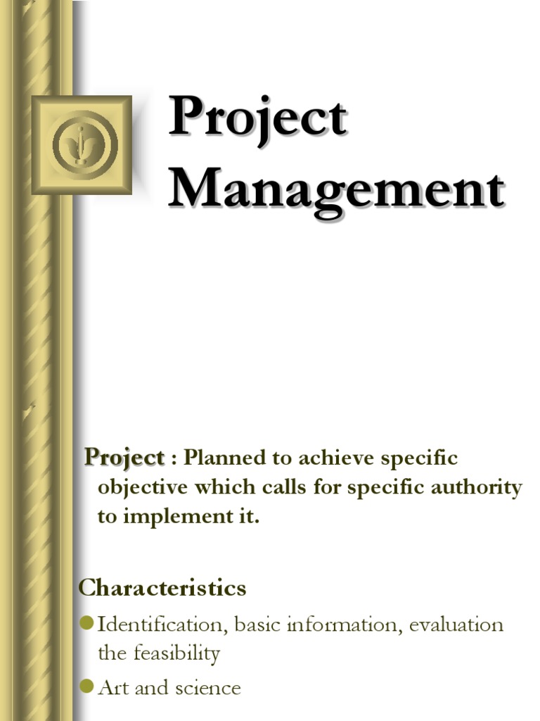 Project Management | PDF