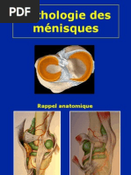 01 - Menisques