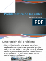 Problemtica de Las Calles Cecilia Castaeda