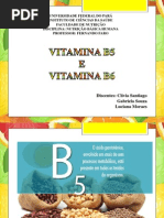 _seminário B5 e B6 Final