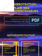 Nephroprotection Place Des Antihypertenseurs