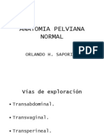 Anatomia Pelviana Normal