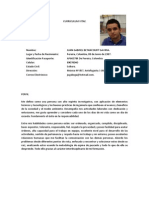 Curriculum Vite PDF