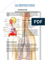 Sistema Respiratorio