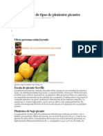 Tipos de pimientos picantes y su clasificación en la escala Scoville