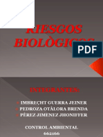 RIESGOS BIOLÒGICOS exposdicion